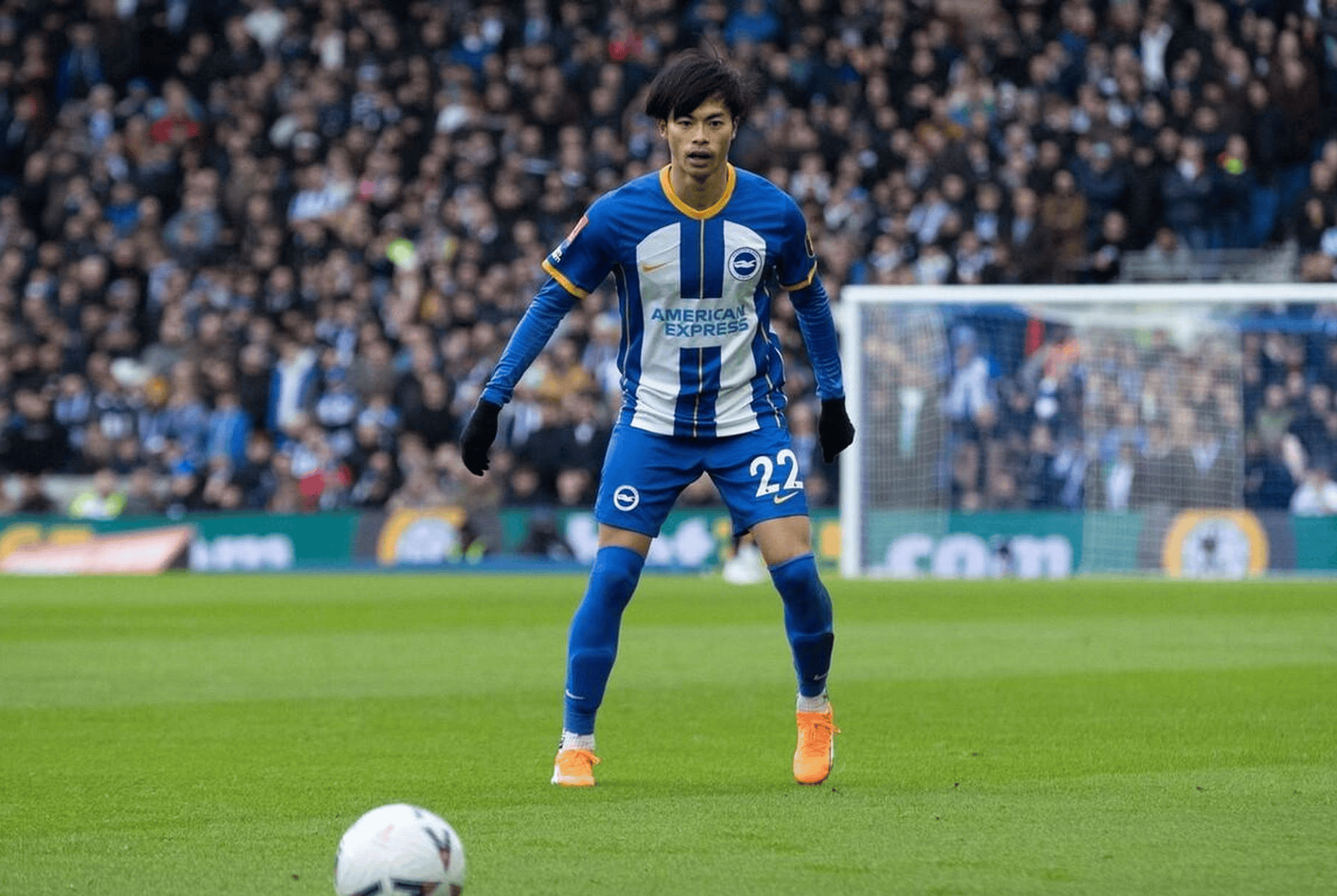 布莱顿VS纽卡斯尔联预测分析:布莱顿与纽卡斯尔联能否打成平局?